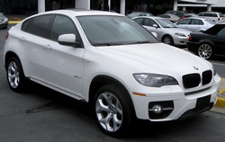 BMW X6 vehicle pic